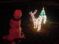 The lighted lawn critters before the big storm