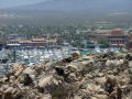 Cabo San Lucas Harbor from the resort