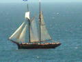 Former Hollywood Pirate Ship sails from Cabo